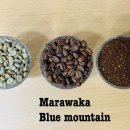 숲coffeeroasters 이미지