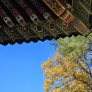 수레로108 이미지