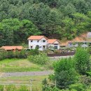 미래농업 이미지