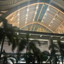 펠리시티 | 세부 0.5박 가성비 펠리시티 아일랜드 호텔 공항 무료 픽업