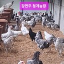 천마산농장 이미지