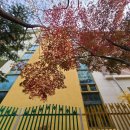 관곡초등학교(병설) 이미지