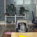 조규만외과동물병원 이미지