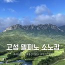 고성 소노캄 델피노 AB 스위트 클린 _ 울산바위뷰 평일체크인 꿀팁