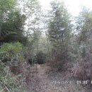 장군주유소 이미지