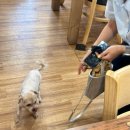 덕성식당 | 제주 서귀포 갈치조림맛집 ‘덕성식당’ 내돈내산 솔직후기