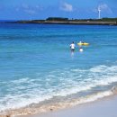 방울풍뎅이 이미지