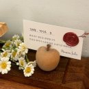 강원도 속초 숙소 추천 &#39;맨션자두&#39; / 감성숙소 자두4알 후기