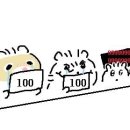 강릉댕댕이애견펜션블루 이미지