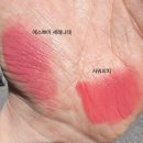 세레나데 | 차정원 틴트 단종 아니었어? 에스쁘아 세레나데 사워피치 서서 발색후기