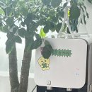 파리바게뜨화서