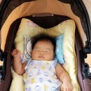 토토농장 이미지