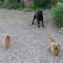 켐브릿지 이미지