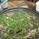 약나무마실 이미지