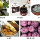 토종먹거리 티스토리