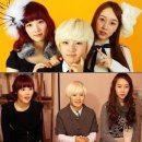 베베미뇽 이미지