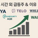 미르모터스 | “RAYA · AQB · TELO · WHLR · WAI 시간 외 급등 이유 + 엔비디아 실적 서프라이즈 &amp; 글로벌 산업...