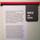 무술년 테마전 아시아의 개 | [광주/전시] 광주국립아시아문화전당 전시 _ 2018볼만한전시회/주말나들이추천