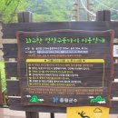 좌구산자연휴양림 이미지