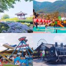 마을종합수퍼 | 광주근교 나들이 5월 전남 가볼만한곳 곡성여행 아이와 키즈글램핑 섬진강기차마을