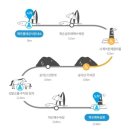 상모리-17 | 제주도 유채꽃과 찬란했던 제주 올레길10코스(화순-모슬포올레)