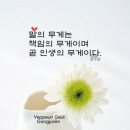 신흥제일약국 이미지