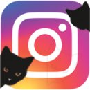 이진수고양이병원 이미지