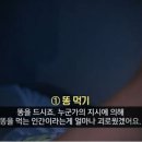믿음가스 이미지
