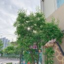 재능유치원 - 중구 | 재능유치원