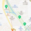 온천천시민공원 붓드레아 이미지