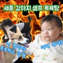 새롬목욕탕 | 세종 새롬동 &#34;셀프 강아지 목욕탕&#34; / 프라이빗 공간에서 우리 강아지 목욕시키자