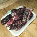 초원펜션 | [군산펜션] 1층 자쿠지룸 후기 &#34;초원고택&#34; 예쁜 숙소 추천 ❤️