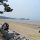 태안반도