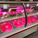 소한마리 이미지