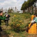 재능농장 이미지