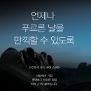 틴트팩토리 이미지