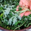 강산환경 이미지