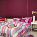 티나하우스 이미지