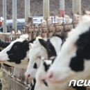 우진한우농장 이미지