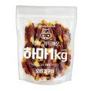 펫얼라이어스 이미지