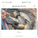 어의곡낚시터 이미지