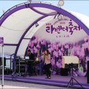 신안군관광협의회안좌퍼플교지점 이미지