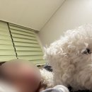 세민한의원 이미지