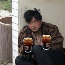 왚도그