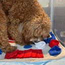 전주유치원 이미지