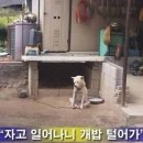 다네 이미지