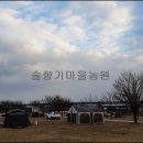 솔밭캠핑장 이미지