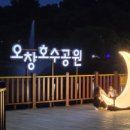 도심속의 평화 이미지