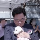 놀아보개 이미지