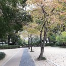 태양한신공인중개사사무소 이미지